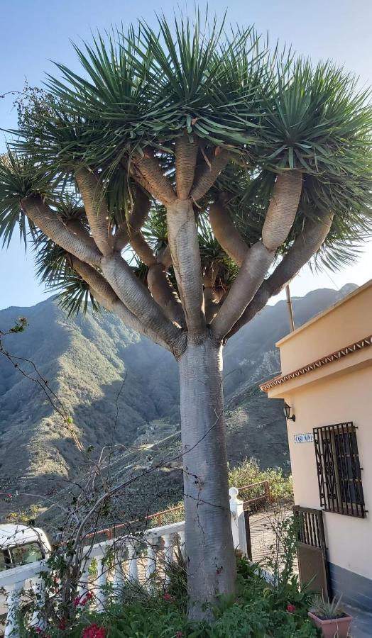 Casa Noni Villa Santa Cruz de Tenerife Esterno foto